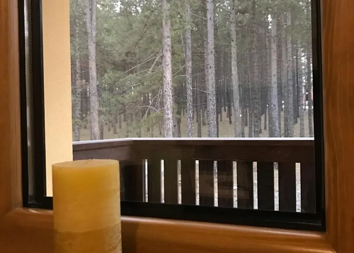 Aparthotel Jakovljevic Zlatibor