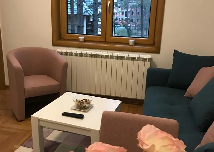 Jakovljevic Aparthotel Zlatibor